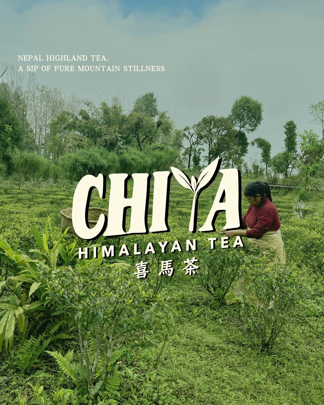 Chiya (Himalayan Tea) (gallery)