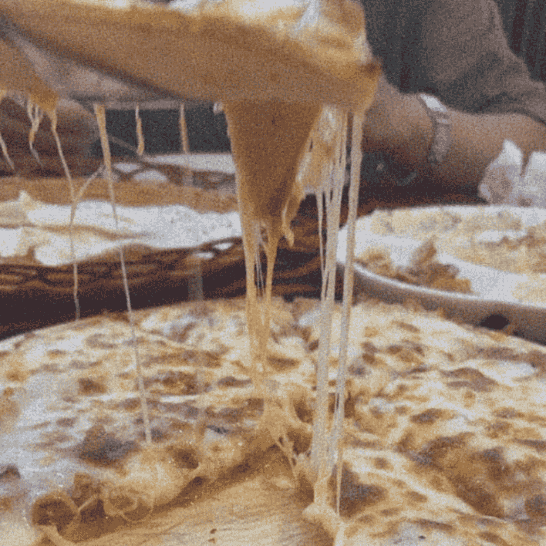 Cheese_ Quesadilla_Dish_in_Ziafat